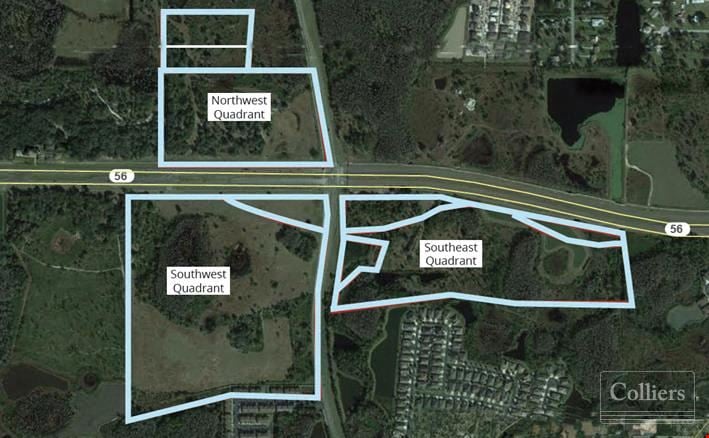 Wesley Chapel Lakes | Investment Opportunity