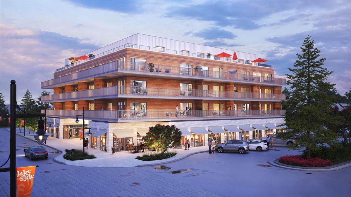 The Alexander