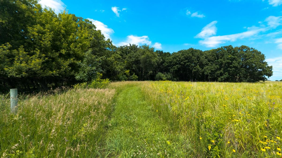 Rochester Premier 35 Acre Estate
