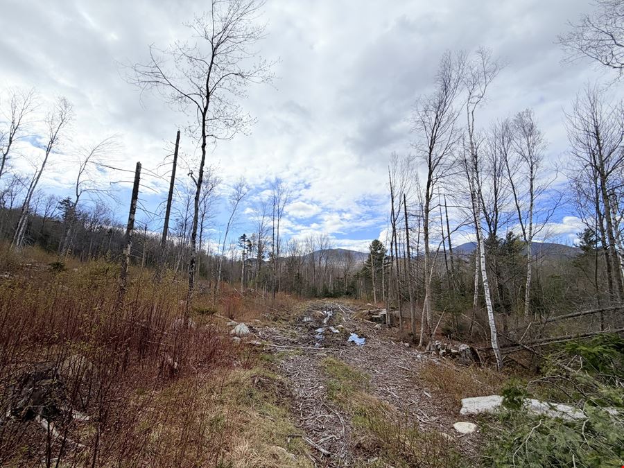 Route 3 North, Carroll, NH (lots 43 & 46)