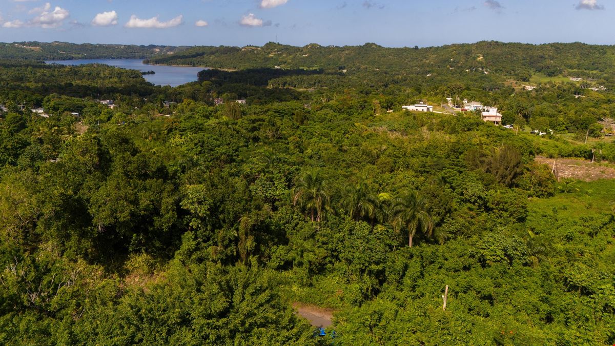 San Sebastian Vacant Land - For Sale