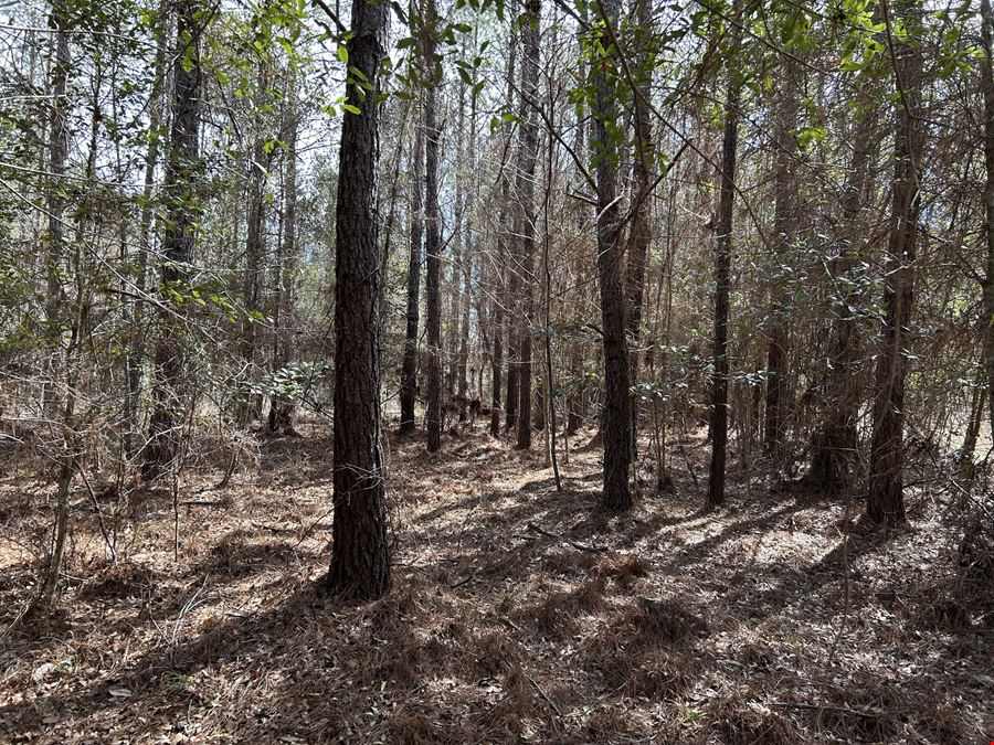 Garland Belmont Tract