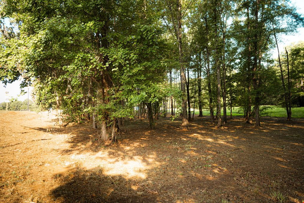 Highland Colony Parkway & Park Place - Corner Lot