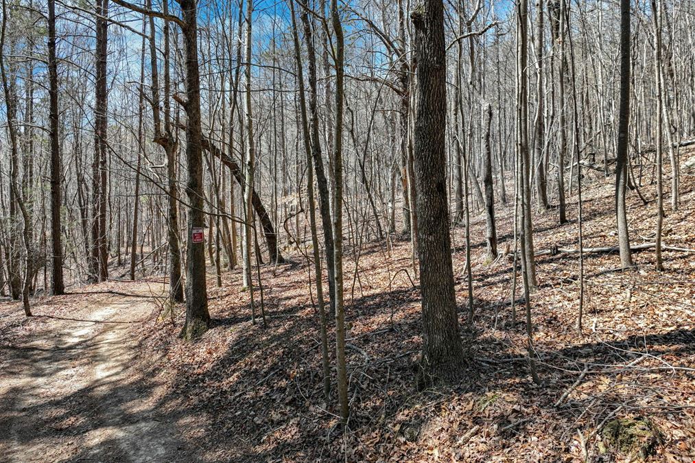 36+/- ACRES FOR SALE, HALL COUNTY