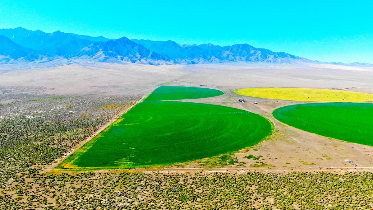 Nye County NV Alfalfa Farm with Pivots, Water Rights