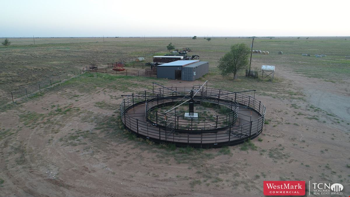 West Texas Horse Property/Cattle Operation Investment Opportunity