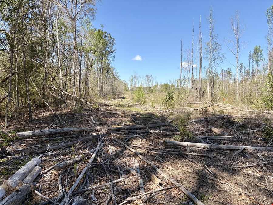 Georgiana Recreation Tract