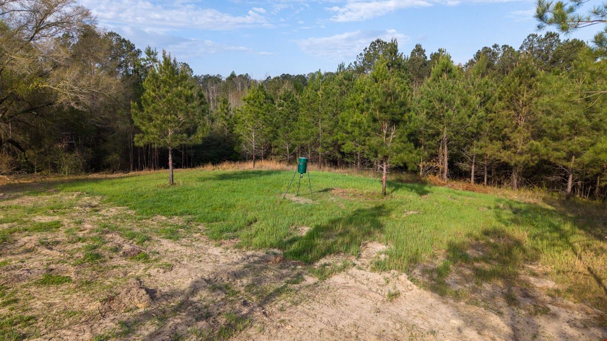 Sawyer Lane Hunting and Timber Tract