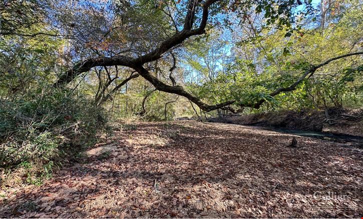 ±120.19-Acre Timber & Recreational Tract Available | Winnsboro, SC