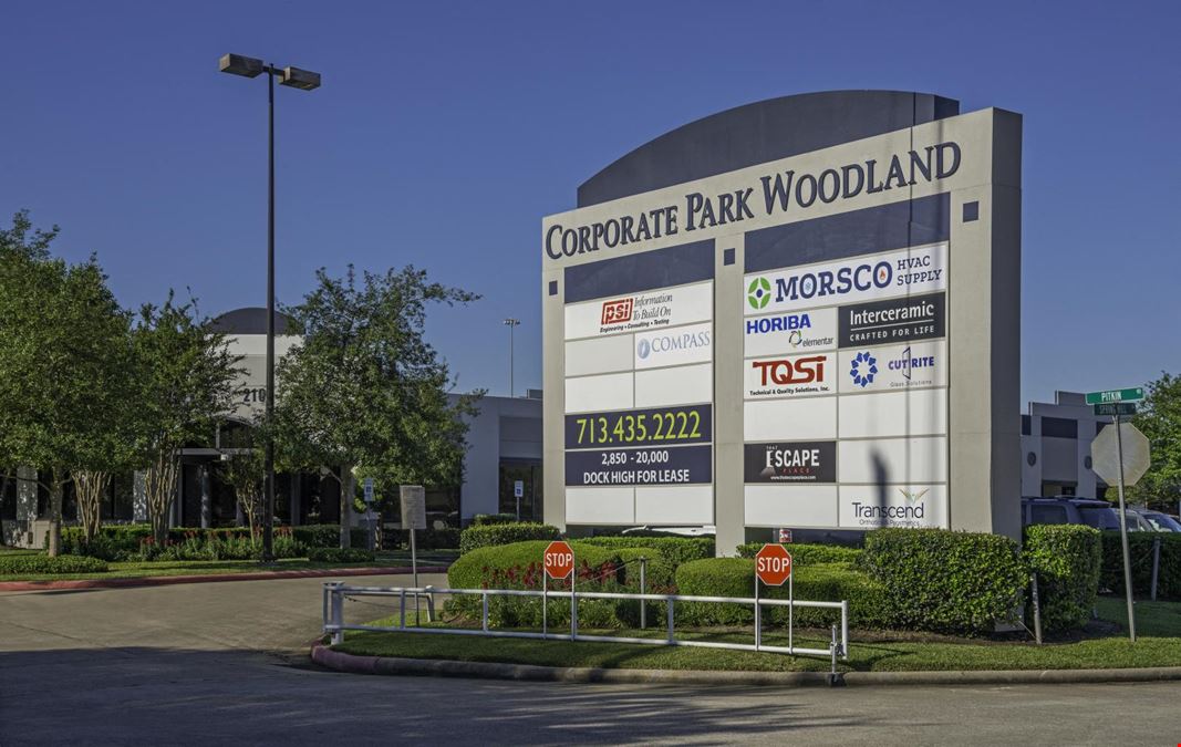 Corporate Park Woodland