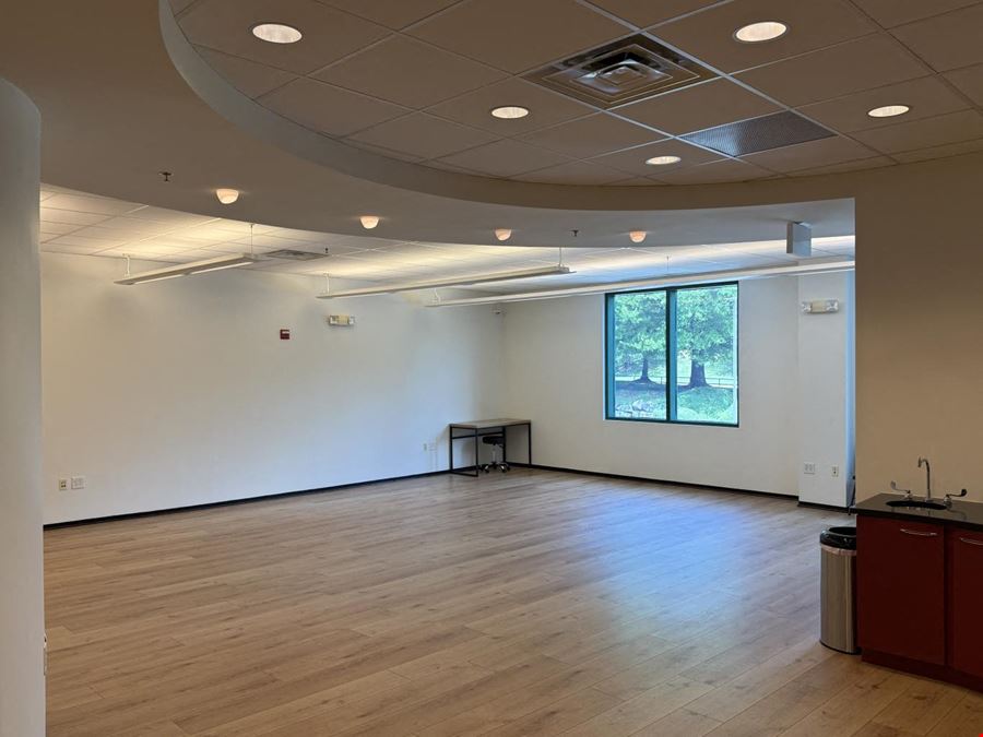Landsdowne Chiropractic