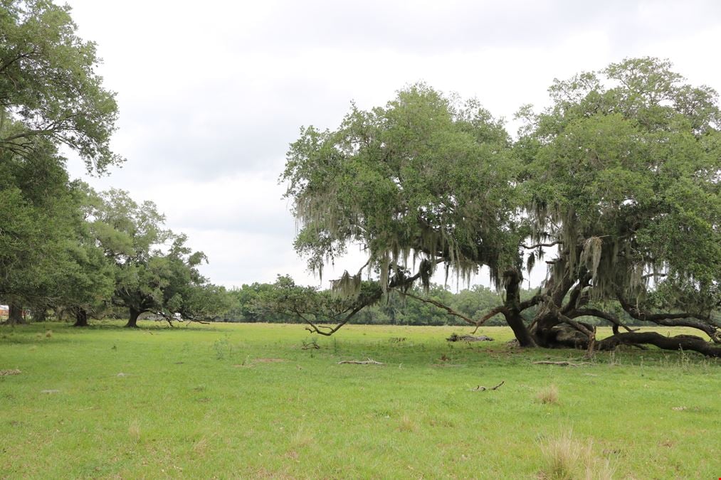 Riverline Ranch and Development