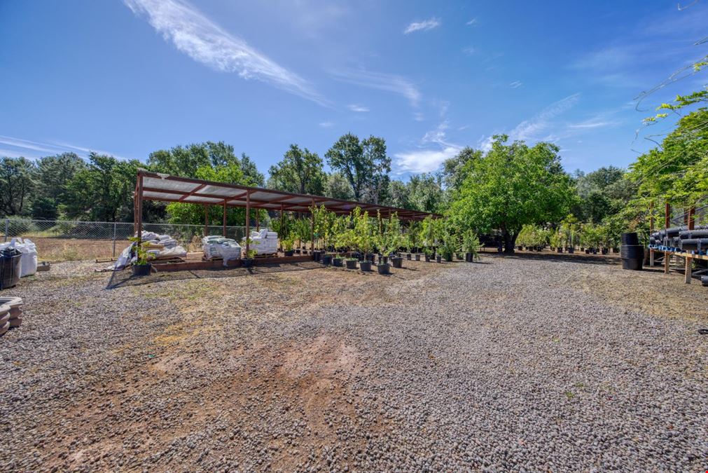 Nottingham Nursery