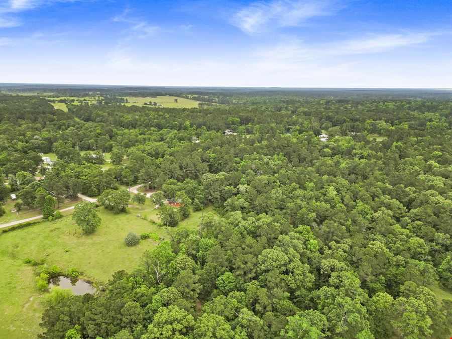 293 N. Ghost Branch Road