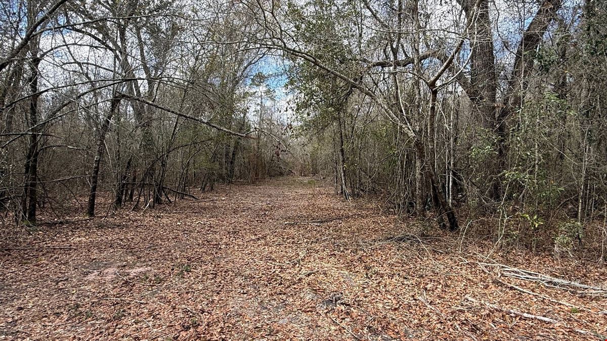65 Acres Near Lake Seminole – Hunting and Recreation Land