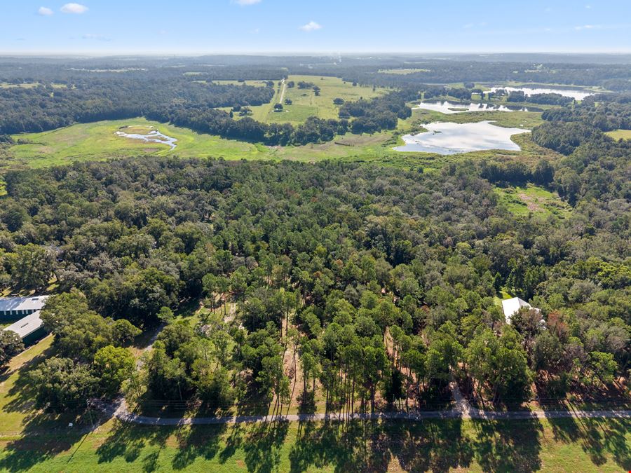 Brooksville 5 Acre Tract