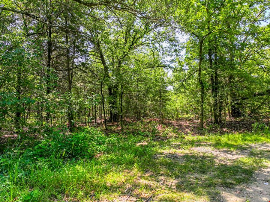 Land for Sale in Greenville