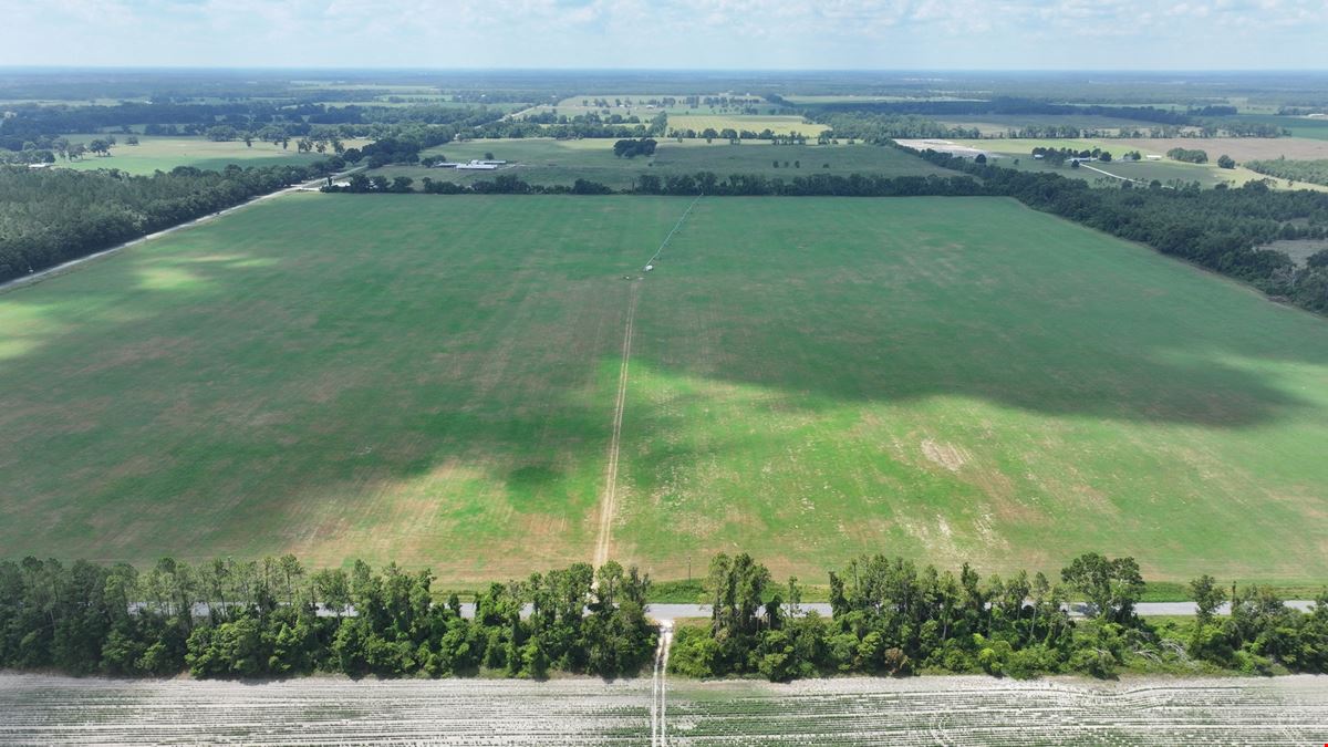 Suwannee County Quarter Section Farm