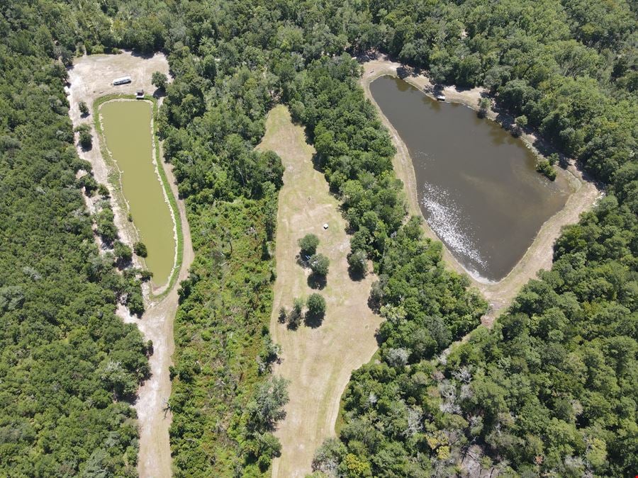 30.53 Acres for Sale with Edisto River Access