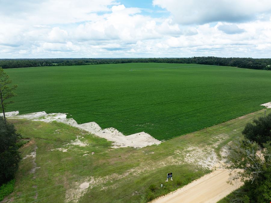 Rollings Farm - Madison County