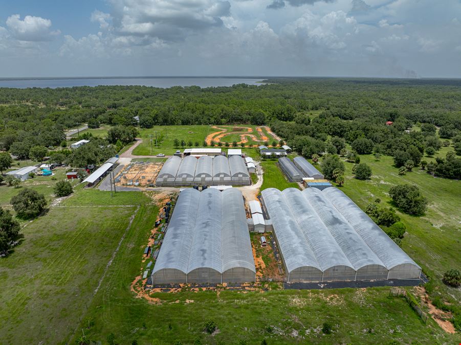 Polk County Citrus Nursery