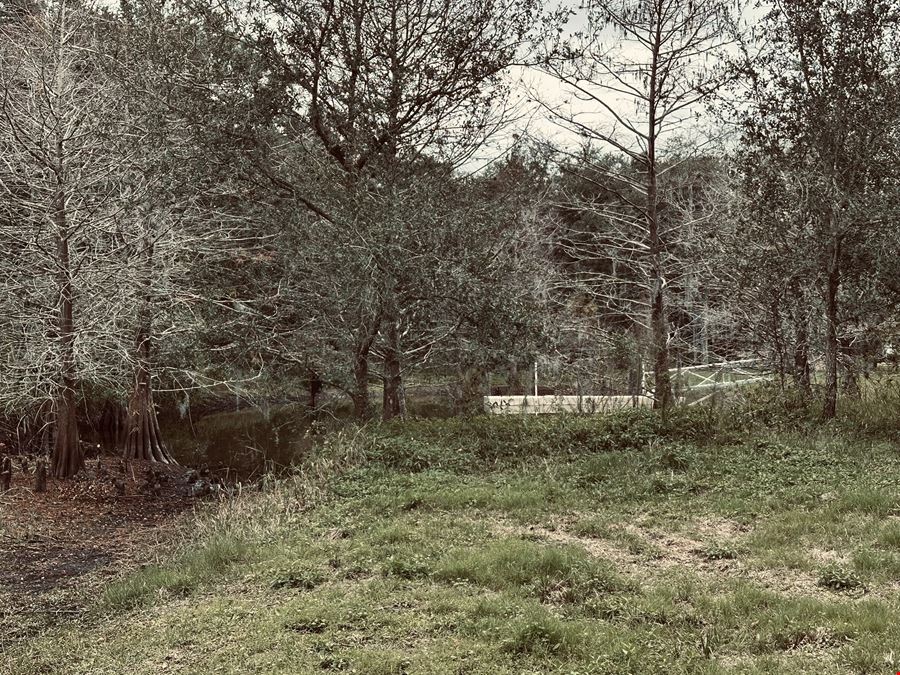 Executive Homesite - 4.19 Acres, Florida
