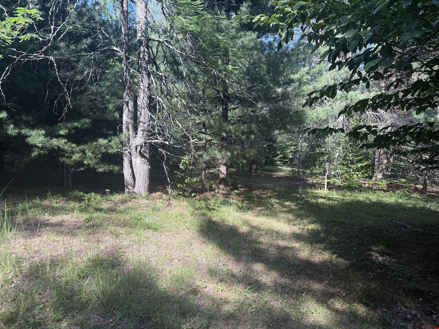 375 Ormsbee Rd