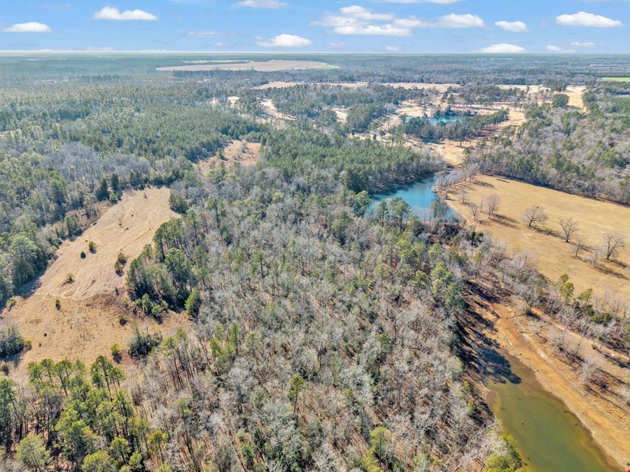 221 Acres | 3.14 Acre Pond | Hephzibah, GA
