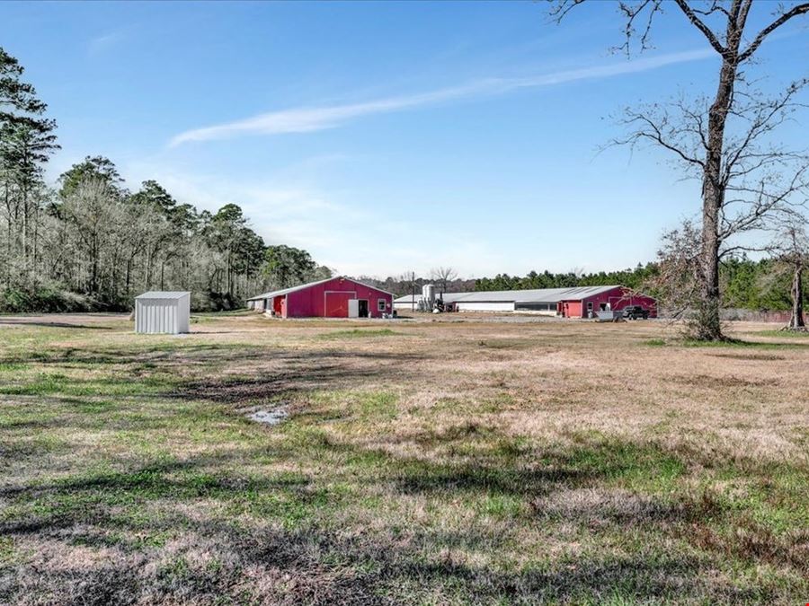 Tyson Breeder Farm