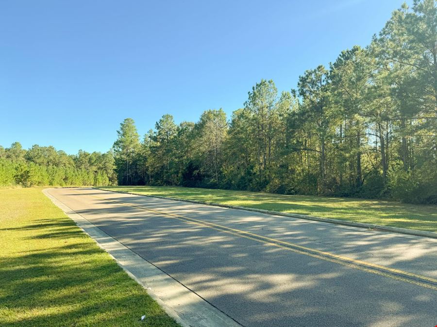 Byrd Blvd Petal Land