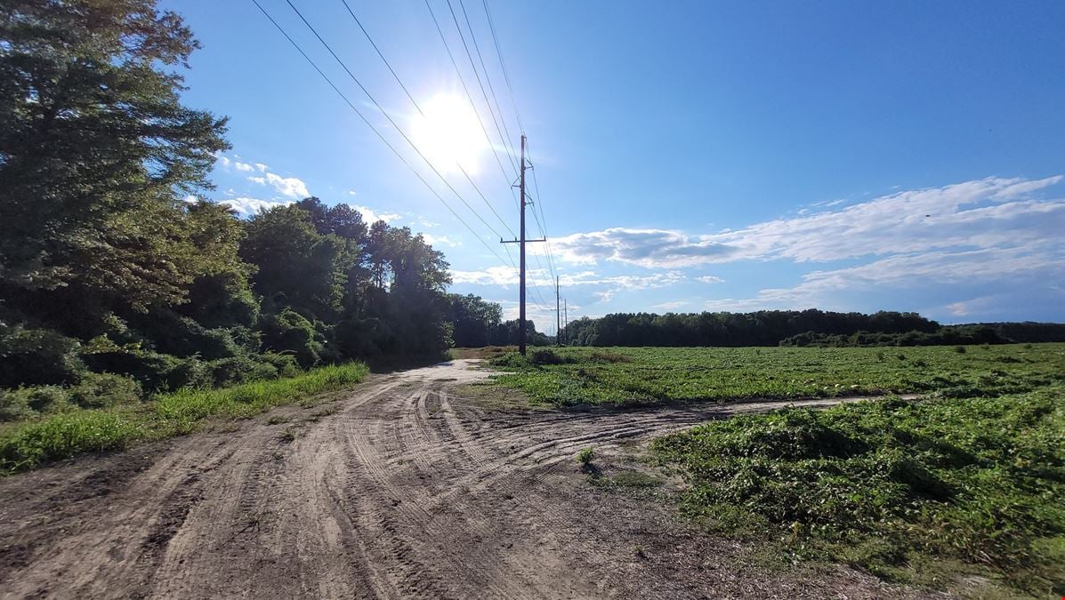 9.51 Acre Parcel off American Legion Road