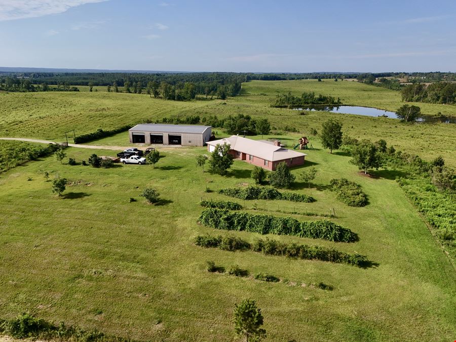 10 Shy Homestead