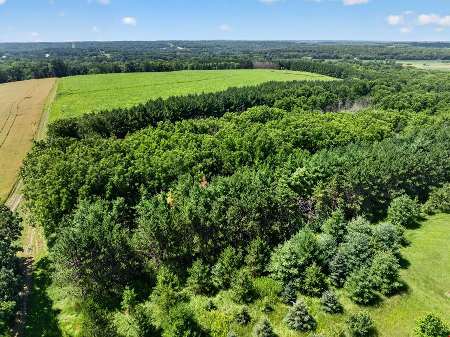Rochester Premier 35 Acre Estate