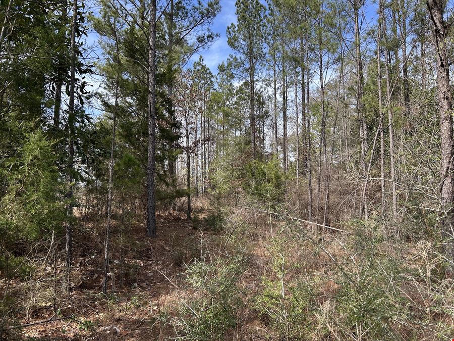 Garland Belmont Tract