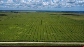 Oslo Rd 300 Acres