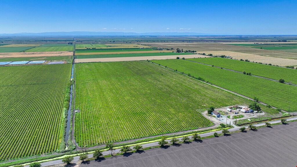 Clarksburg Vineyard Land