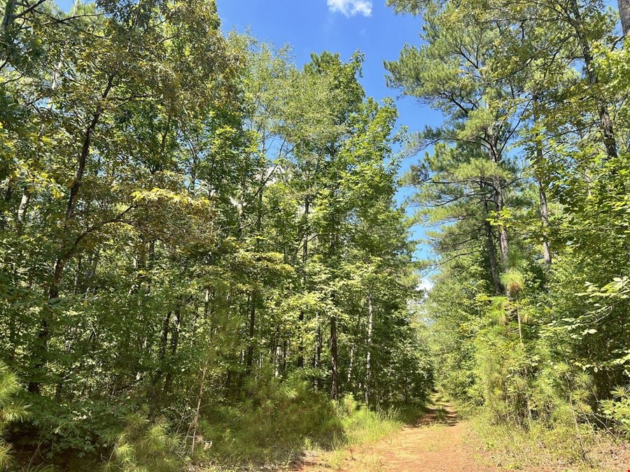 Partridge Creek 245