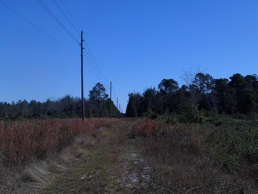 203 Acres in Valdosta