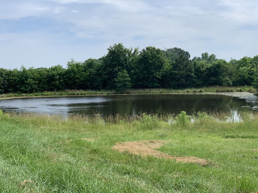 Moffitt 123 Acre Development Tract