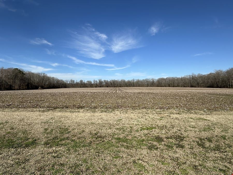 Ross Road 86 Acre Tract