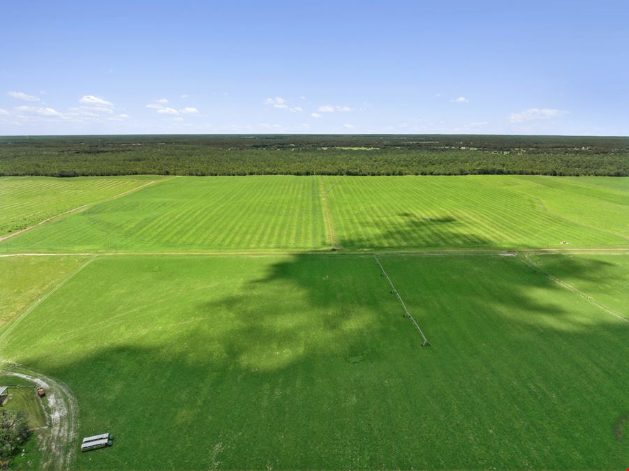 688± Acre Turn Key Farm Operation in Marion County