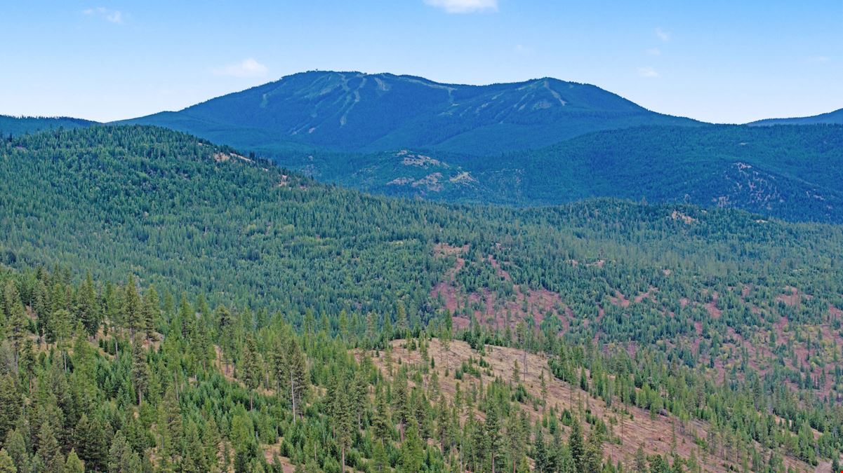 40 Wooded Acres near Kalispell: Classic Montana Forty