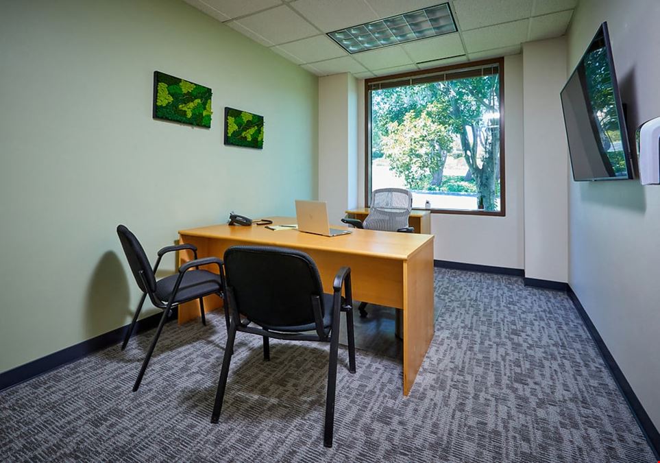 Executive Base Network