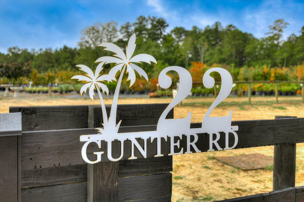 Southern Carolina Palms & More - Nursery & Landscape