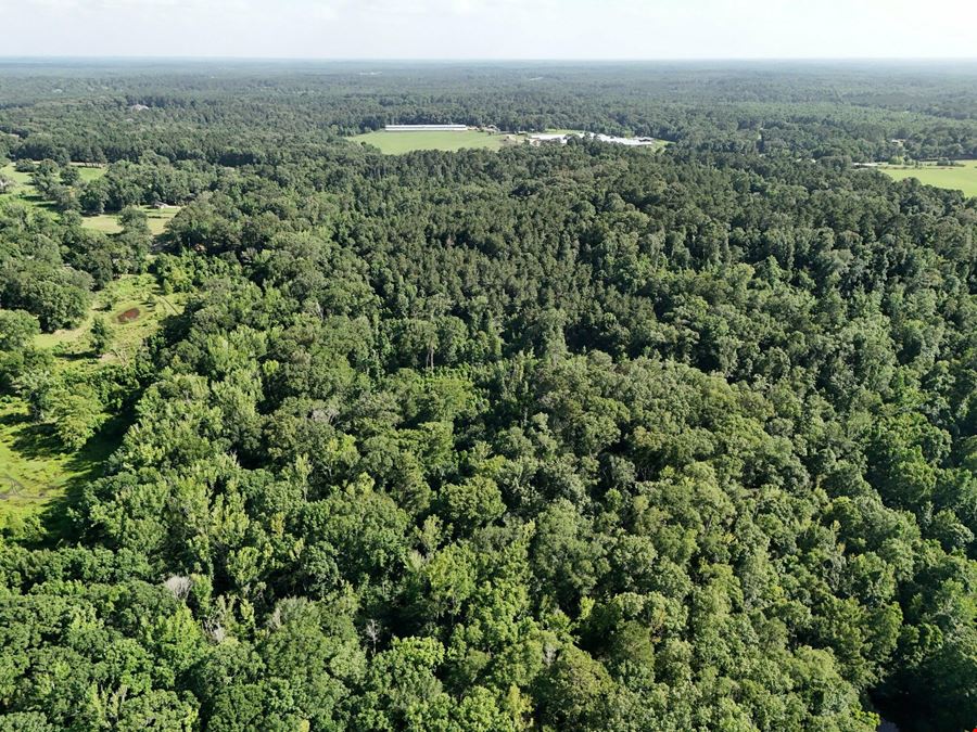 Residential Development Opportunity