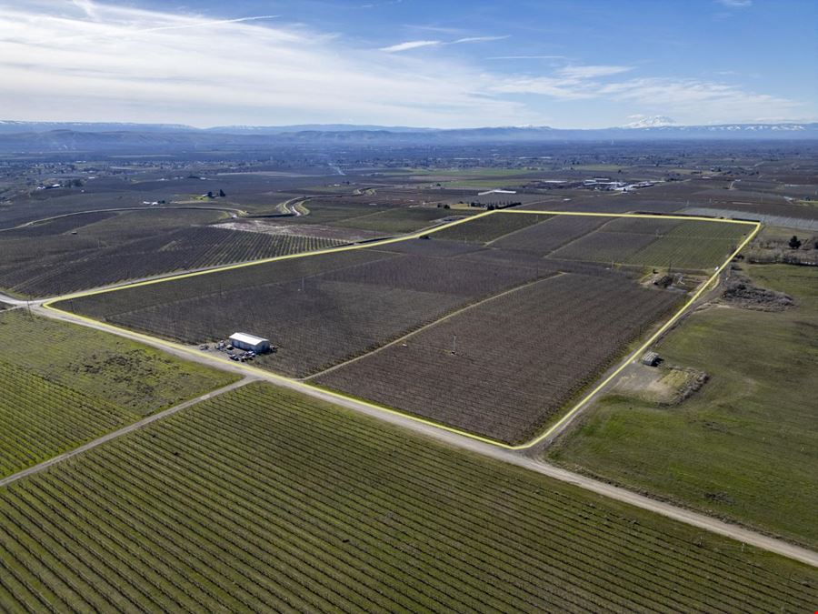 Occidental Orchards