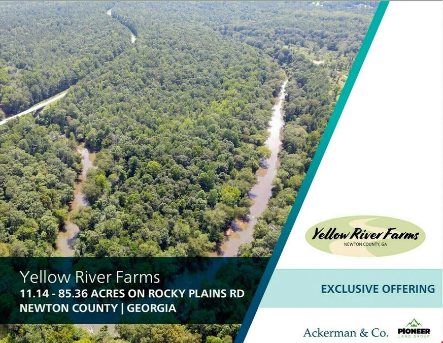 Tract 6 - 18.83 Acres - Yellow River Farms