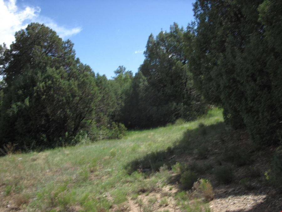 10433 State Highway 337