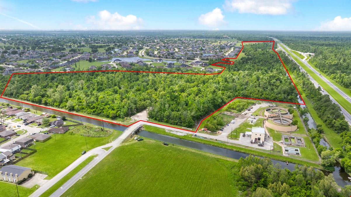 234.1847+/- acres Parcel C & D, Belle Terre Boulevard