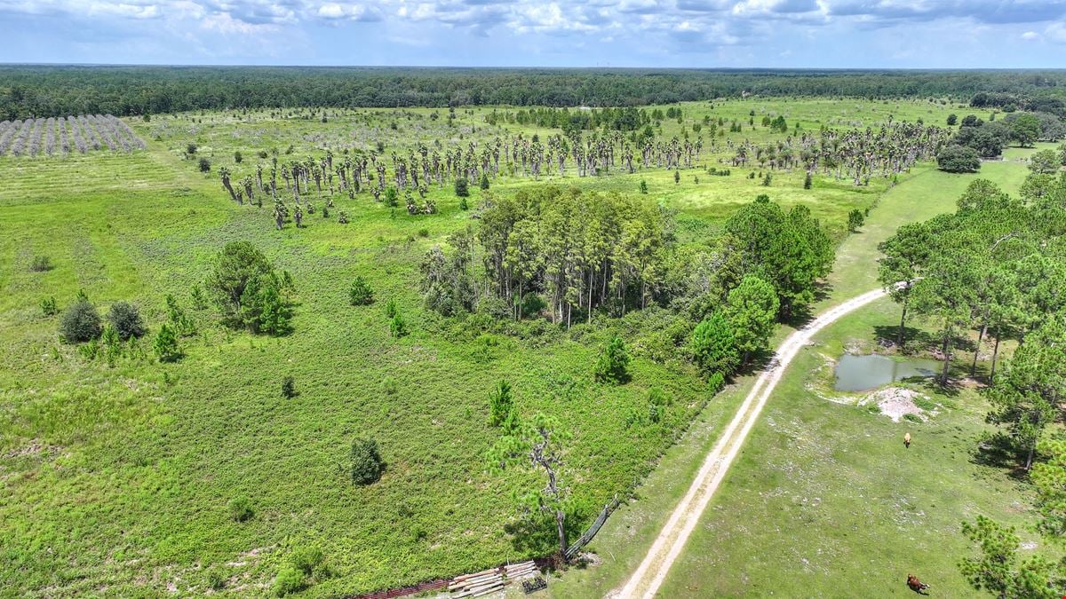 Deen Still Rd 25 Acres